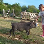 Prázdninový dům In Doebroekoez Mit Privatem Pool By Interhome