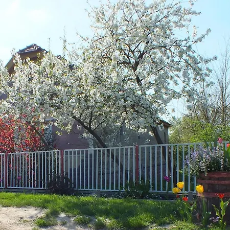 Сasa de vacaciones In Doebroekoez Mit Privatem Pool By Interhome Dobrokoz