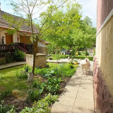 In Doebroekoez Mit Privatem Pool By Interhome * Dobrokoz