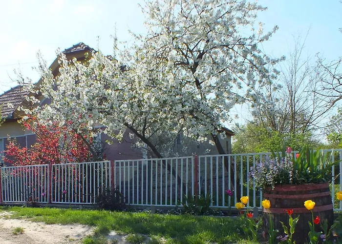 Сasa de vacaciones In Doebroekoez Mit Privatem Pool By Interhome Dobrokoz