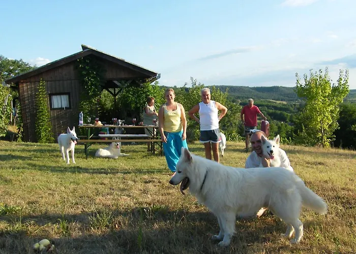 Сasa de vacaciones In Doebroekoez Mit Privatem Pool By Interhome *